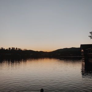 Meet your Posher, Maya